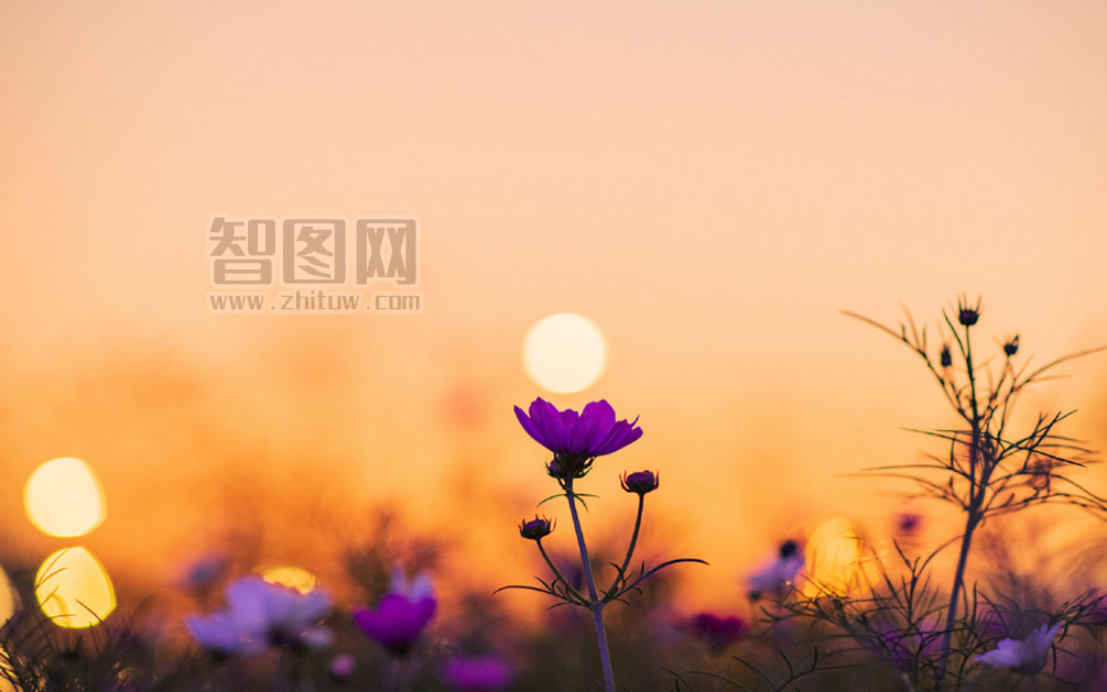资本寒冬里，这名“学霸创业者”获红杉数千万A轮投资